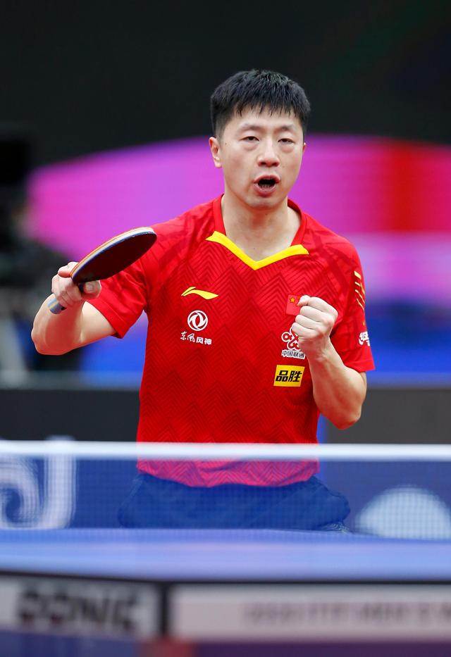 菲律宾野马 菲律宾野马